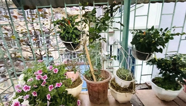 Cho thuê ở hộ gia đình, làm VP kinh doanh online Giải Phóng 8 Triệu, 45m2, 2 tầng, 2 ngủ, vào ngay